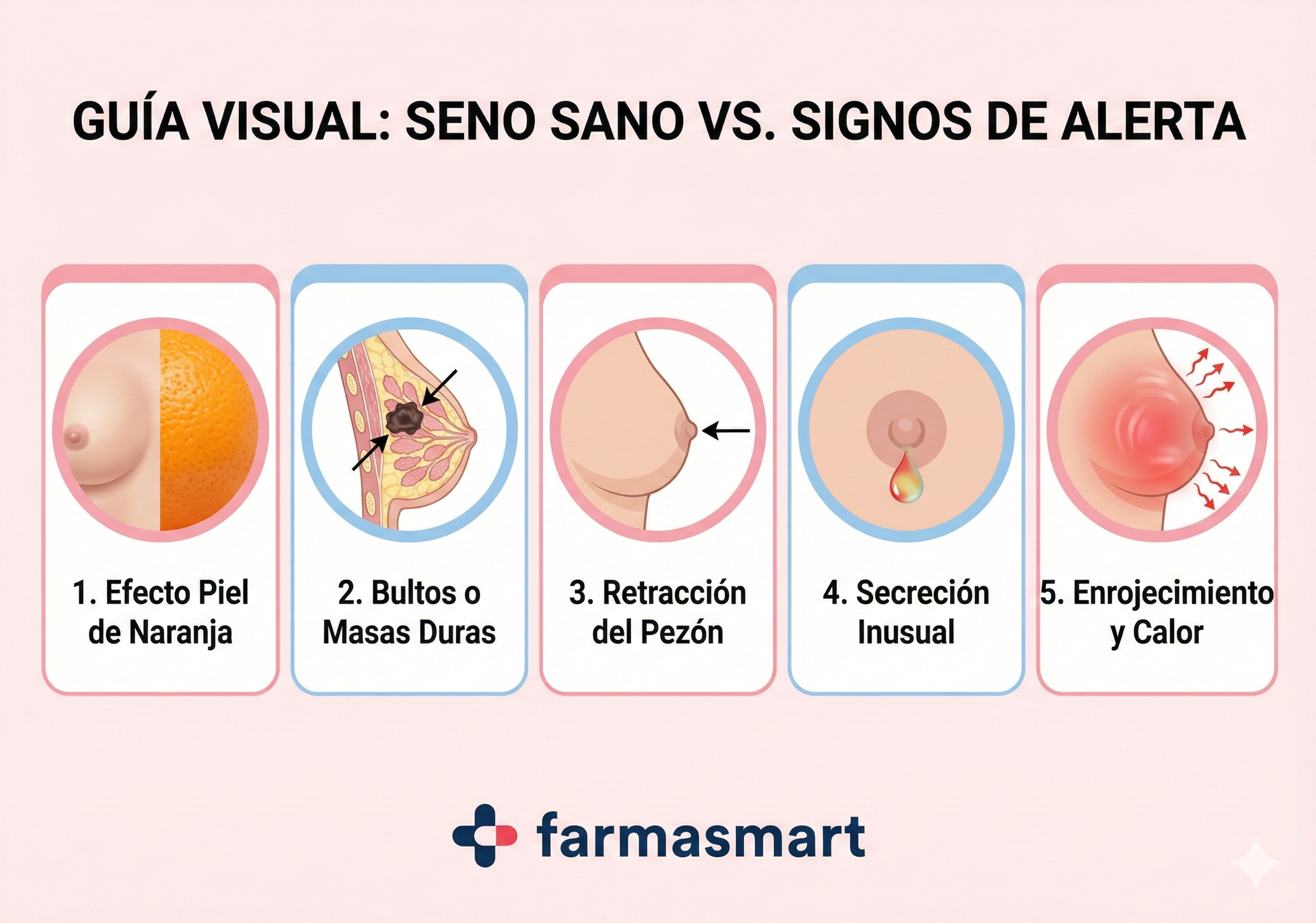 Seno sano y seno con cáncer